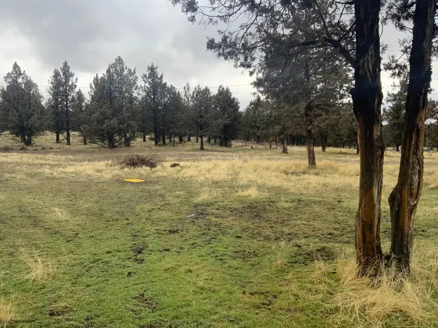 $150,000 | 125 Raccoon Lane, Alturas, CA 96101