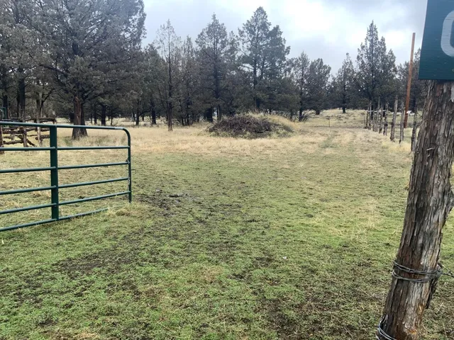 $150,000 | 125 Raccoon Lane, Alturas, CA 96101