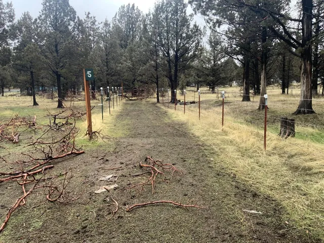 $150,000 | 125 Raccoon Lane, Alturas, CA 96101