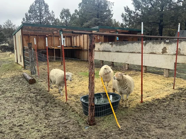 $150,000 | 125 Raccoon Lane, Alturas, CA 96101