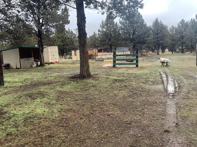 $150,000 | 125 Raccoon Lane, Alturas, CA 96101