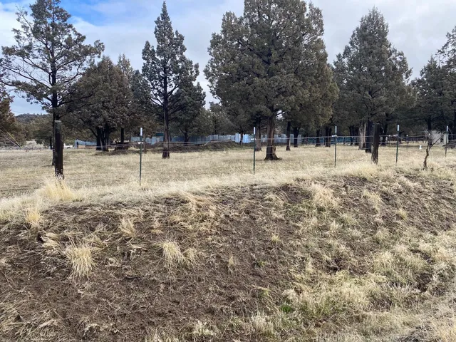 $150,000 | 125 Raccoon Lane, Alturas, CA 96101