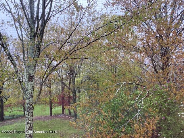 4935 Highway 3001 Meshoppen, PA 18630 - Photo 25 of 31 a view of forest