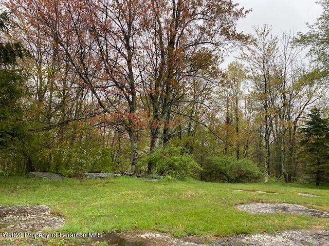 4935 Highway 3001 Meshoppen, PA 18630 - Photo 27 of 31 a view of a field with trees in the background