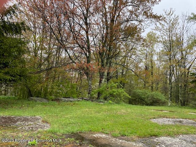 4935 Highway 3001 Meshoppen, PA 18630 - Photo 28 of 31 a view of outdoor space