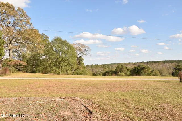 $425,000 | 54 Ballard Road, Perkinston, MS 39573