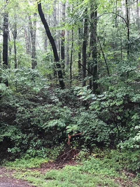 12-14 Chestnut Mountain Road Reliance, TN 37369 - Photo 5 of 11 Chestnut Mtn 5