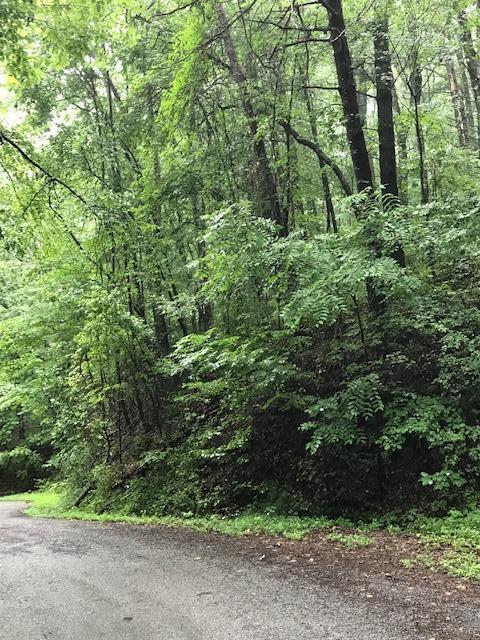 12-14 Chestnut Mountain Road Reliance, TN 37369 - Photo 6 of 11 Chestnut Mtn 6