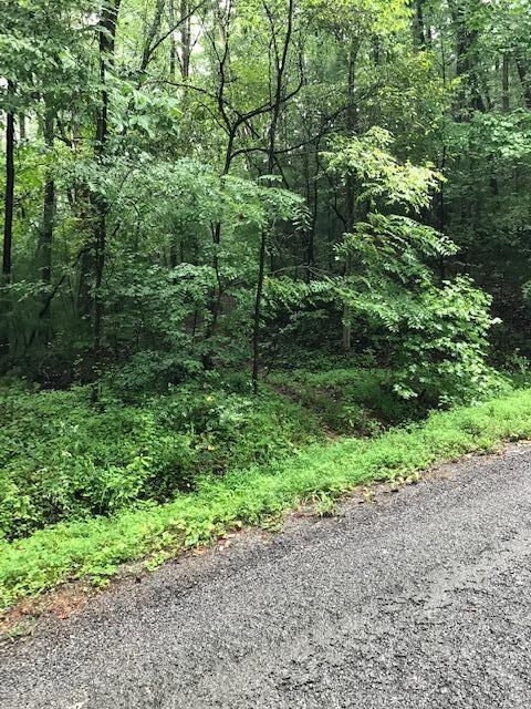 12-14 Chestnut Mountain Road Reliance, TN 37369 - Photo 7 of 11 Chestnut Mtn 7+