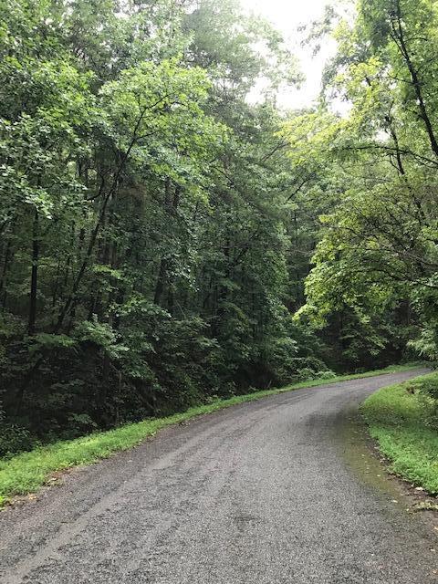 12-14 Chestnut Mountain Road Reliance, TN 37369 - Photo 8 of 11 Chestnut Mtn 8