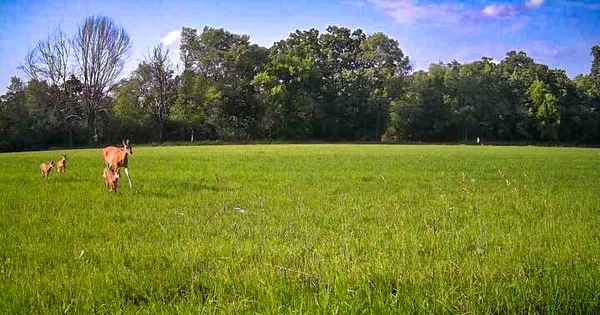 $2,950,000 | Lt1 Oak Knoll Road, Burlington, WI 53105