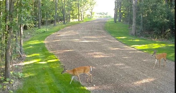 $2,950,000 | Lt1 Oak Knoll Road, Burlington, WI 53105