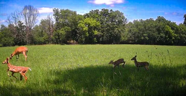 $2,950,000 | Lt1 Oak Knoll Road, Burlington, WI 53105