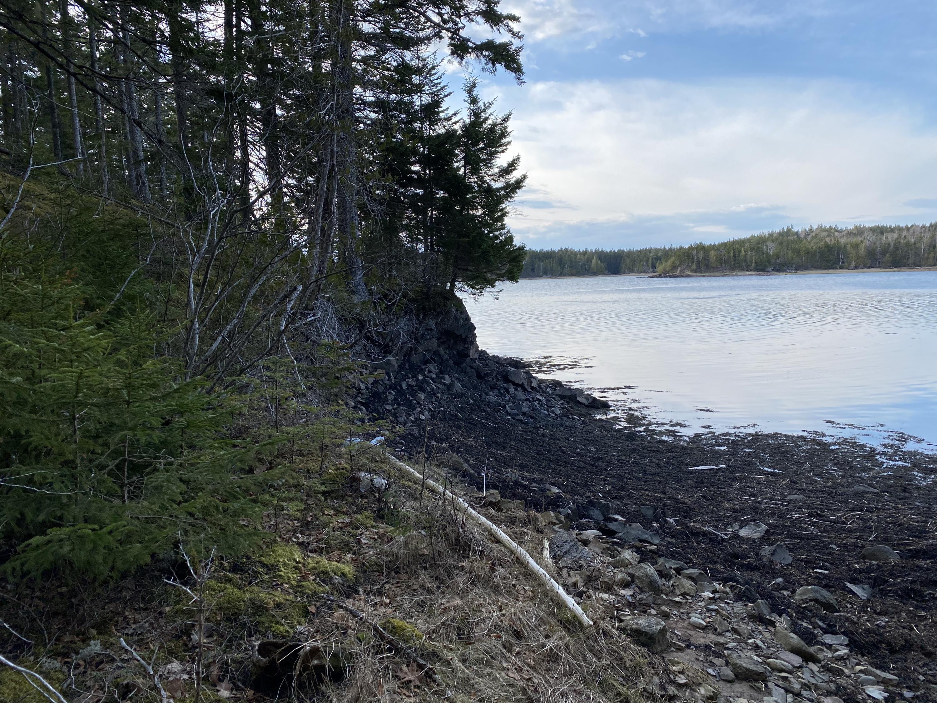 248 North Shr Road Lubec, ME 04652 - Photo 8 of 15 IMG_1424 2
