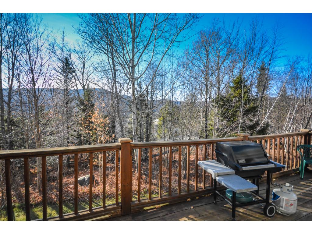 59 D Greenspring Road, Unit D West Dover, VT 05356 - Photo 2 of 20 Gallery Image 2