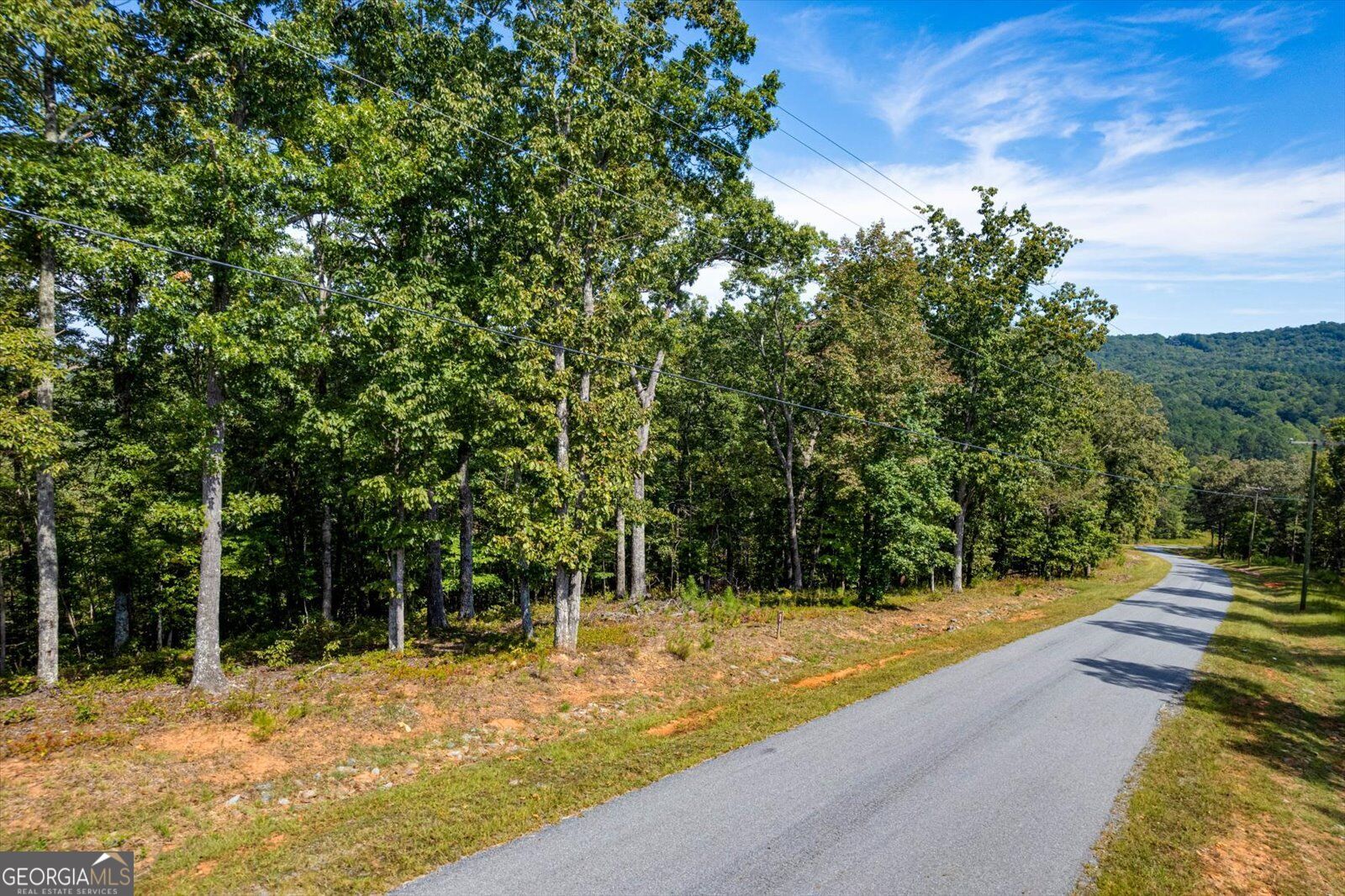 Lot 3 Blalock Mountain Road Talking Rock, GA 30175 - Photo 30 of 31 Gallery Image 30