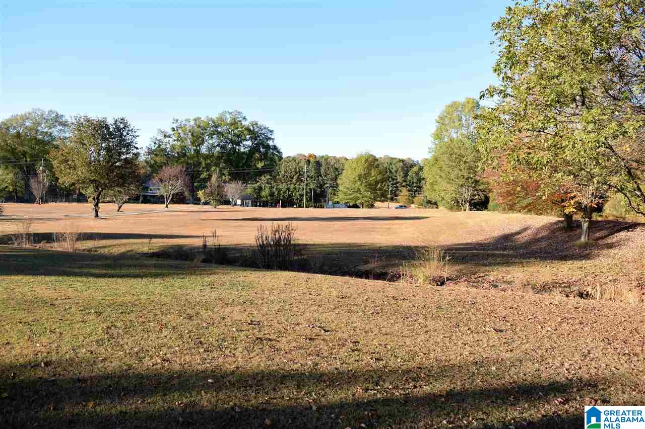 7441 Old Springville Road Trussville, AL 35173 - Photo 27 of 50