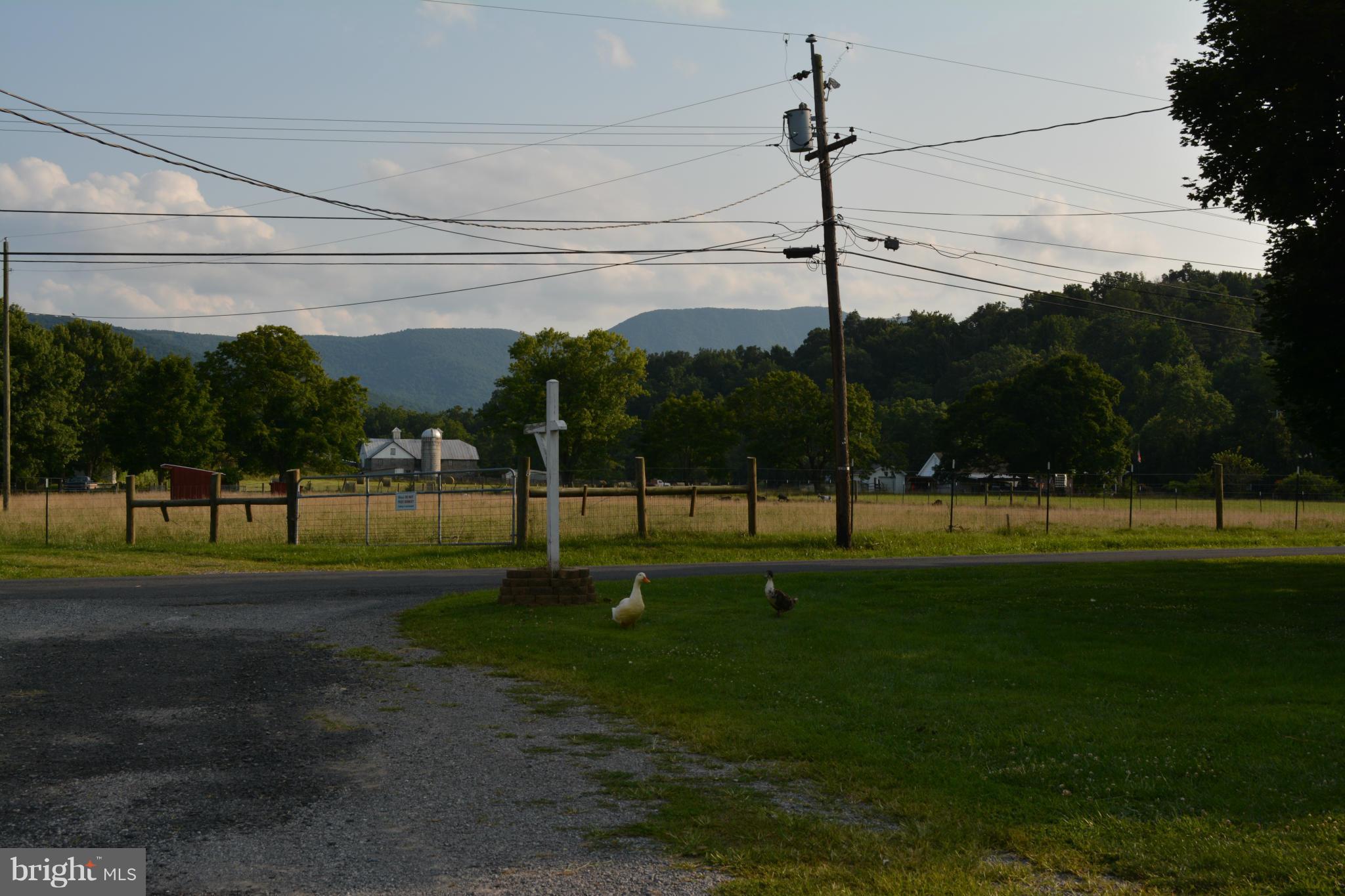 77 Smith Run Road Bentonville, VA 22610 - Photo 8 of 18 View