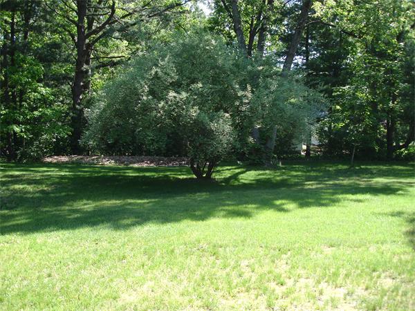 139 Hazardville Road Longmeadow, MA 01106 - Photo 27 of 29 Gallery Image 27
