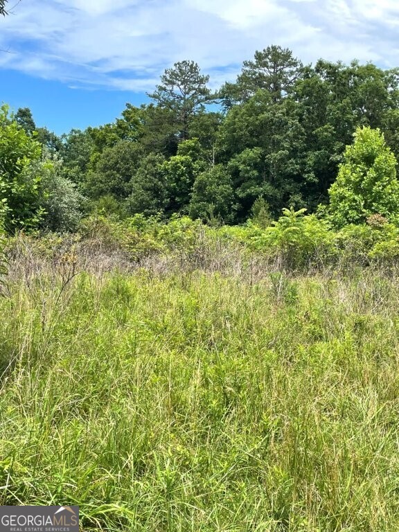 0 Stewart Road Dunlap, TN 37379 - Photo 2 of 12