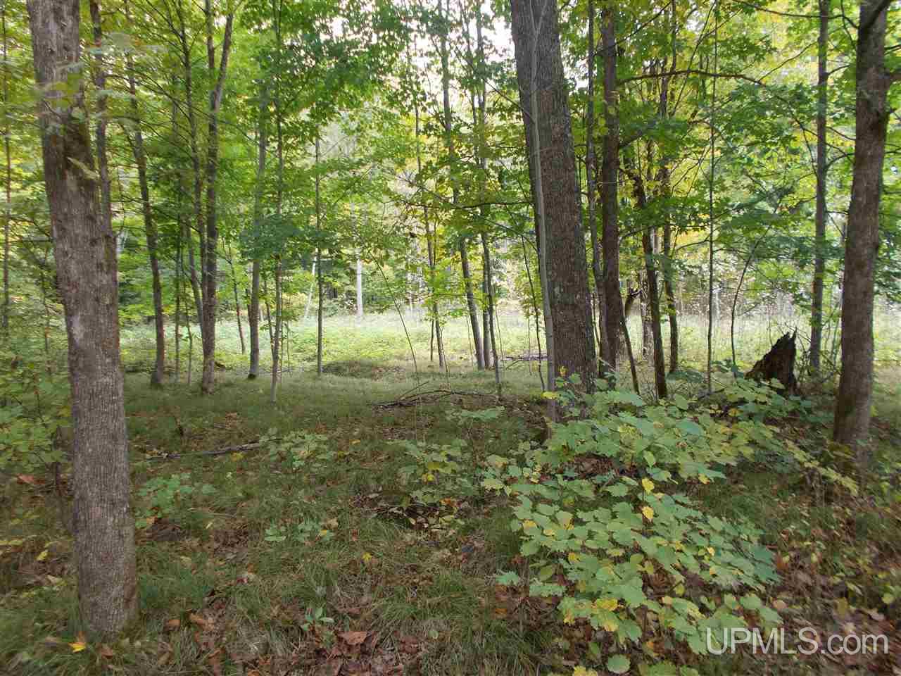 50-acres Camp Nine Road Ralph, MI 49877 - Photo 7 of 12