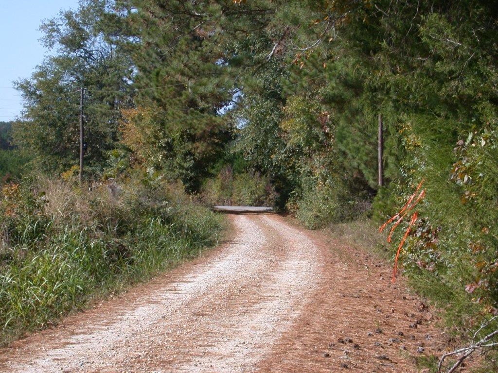 - Larkin Rice Road Saluda, SC 29138 - Photo 6 of 70