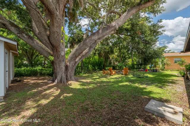 a view of a tree in the middle of a yard