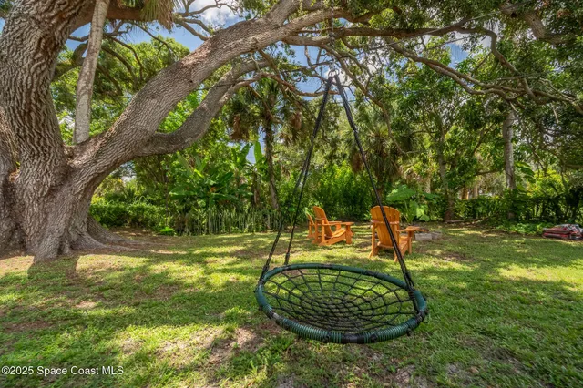 a view of a backyard
