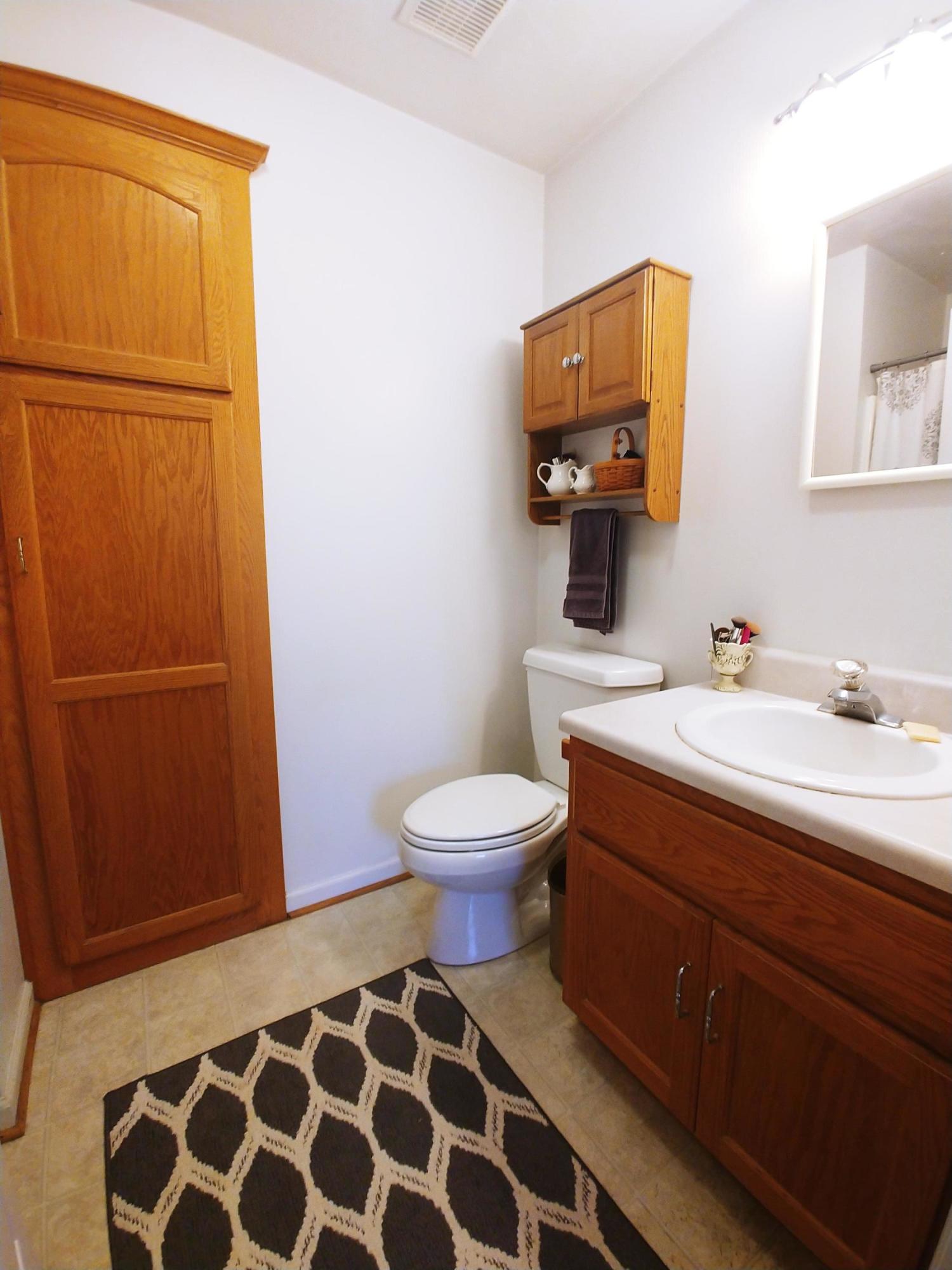 230 Timber Ridge Road Glade Hill, VA 24092 - Photo 22 of 43 Master Bath