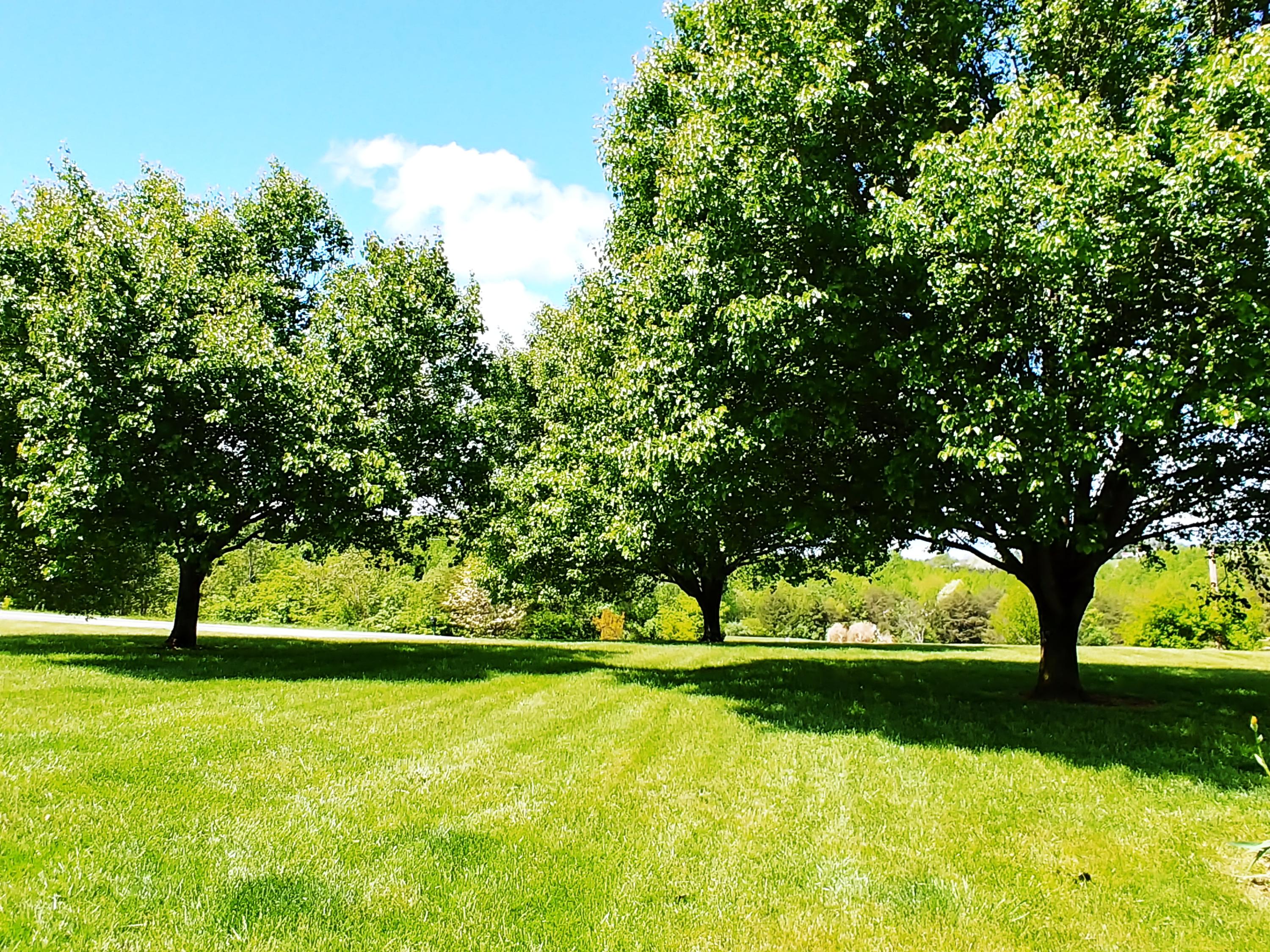 230 Timber Ridge Road Glade Hill, VA 24092 - Photo 40 of 43 Nice Front Yard