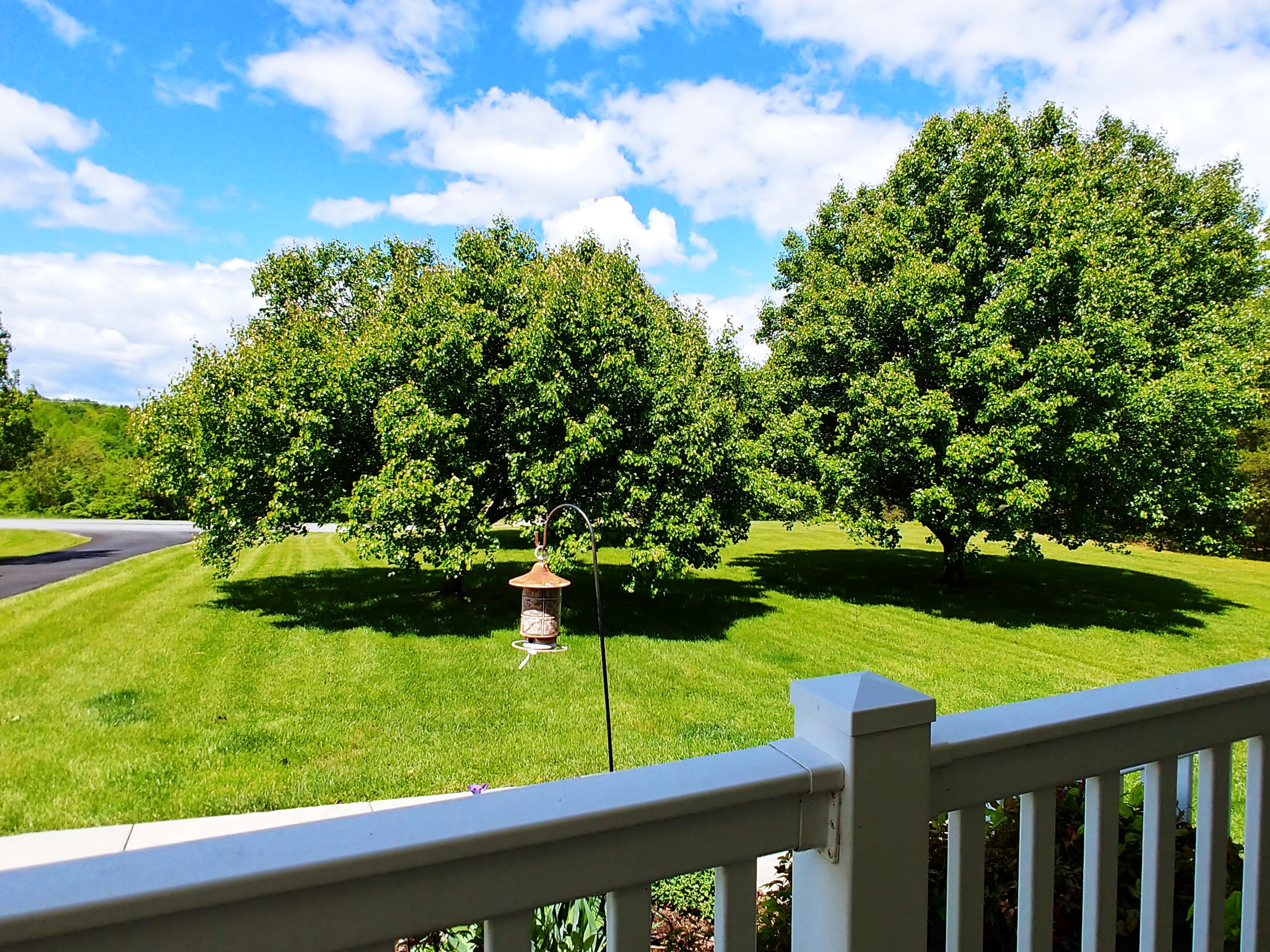230 Timber Ridge Road Glade Hill, VA 24092 - Photo 8 of 43 View from Front Porch