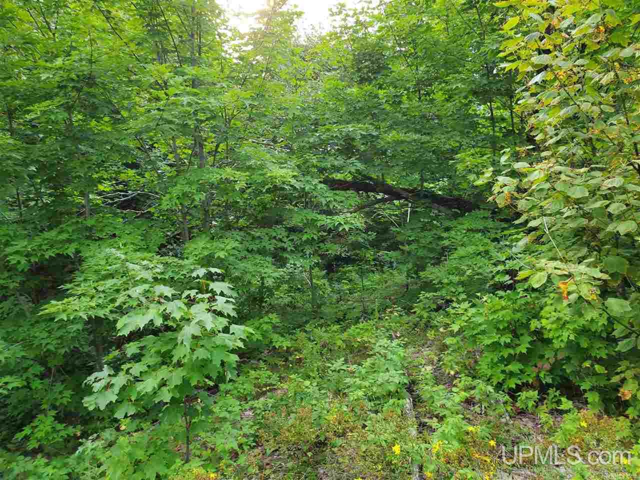 478 Rd Ishpeming Mi 49849 Road Negaunee, MI 49866 - Photo 1 of 1