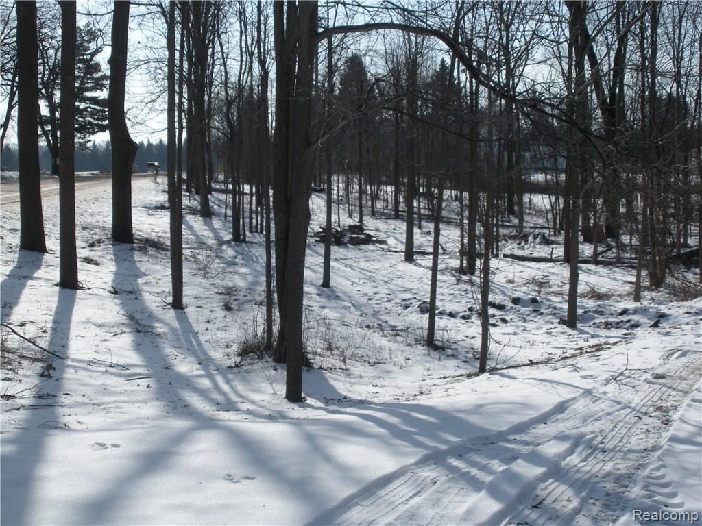 4340 Bishop Road Dryden, MI 48428 - Photo 29 of 35
