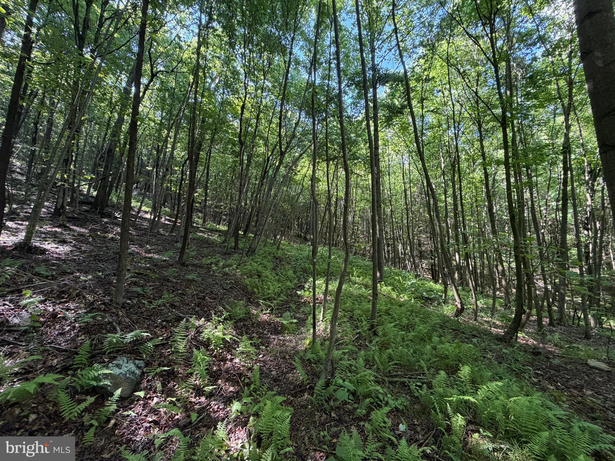 848 Sugar Camp Road Clearfield, PA 16830 - Photo 98 of 118