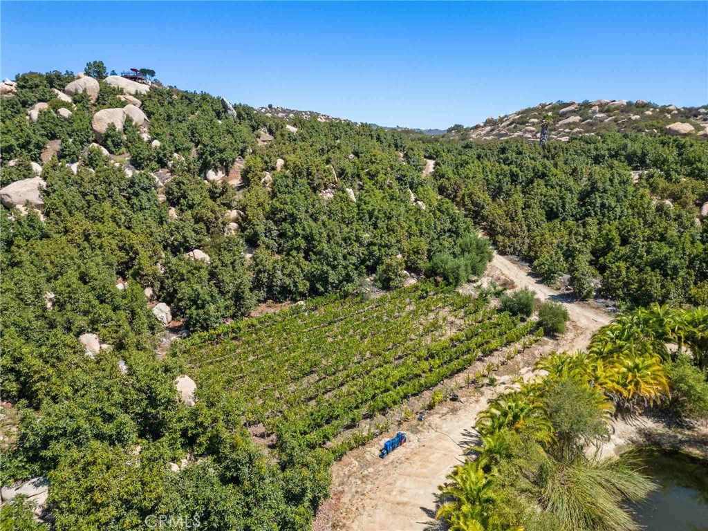 0 Los Casitas Road Temecula, CA 92590 - Photo 12 of 23 a view of a forest with a mountain