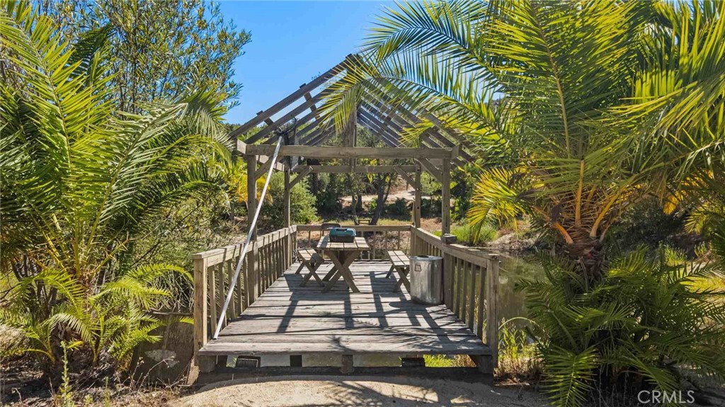 0 Los Casitas Road Temecula, CA 92590 - Photo 6 of 23 a view of a yard with plants and large trees