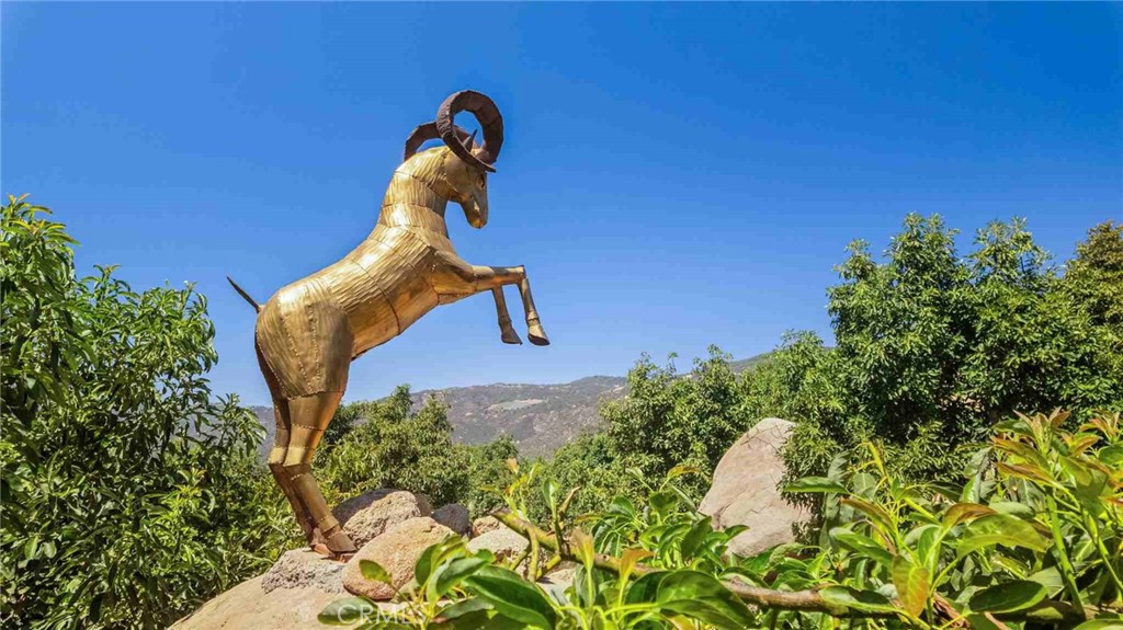 0 Los Casitas Road Temecula, CA 92590 - Photo 9 of 23