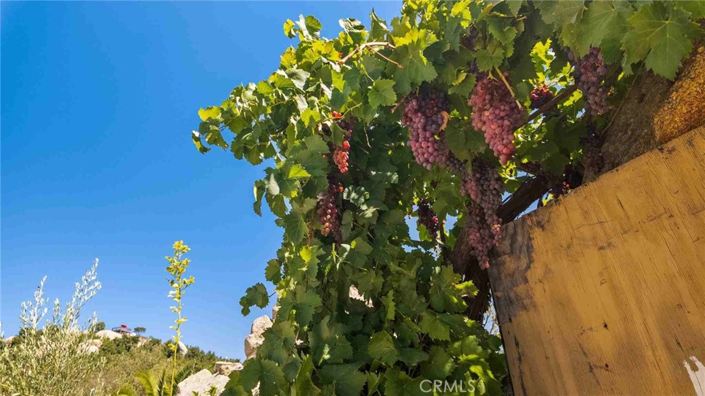 0 Los Casitas Road Temecula, CA 92590 - Photo 10 of 23