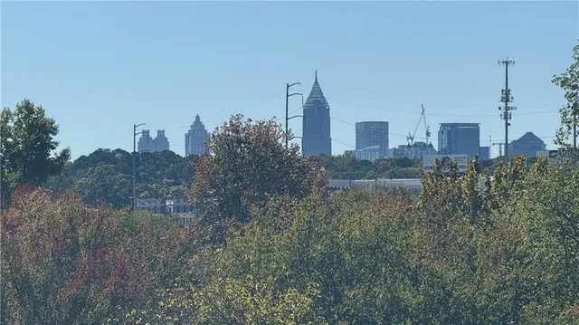 a view of a city with tall trees