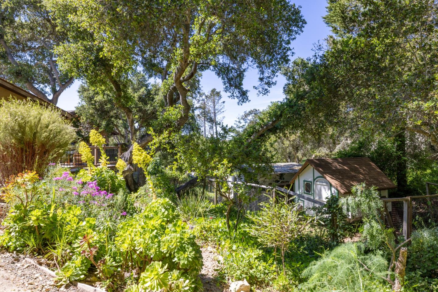 27460 Loma Del Rey Carmel, CA 93923 - Photo 28 of 28