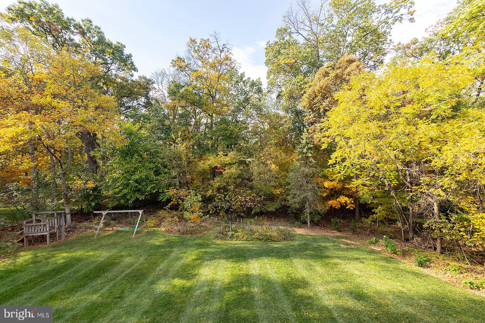 116 Forest Ridge Road Winchester, VA 22602 - Photo 65 of 73 Backyard