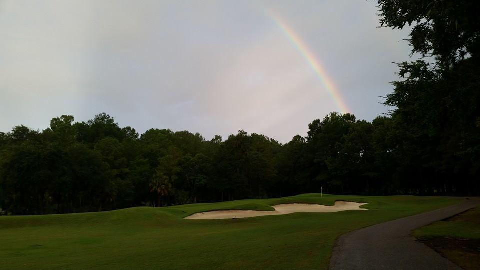 1805 Shell Ring Circle Mount Pleasant, SC 29466 - Photo 56 of 56 rainbow golf