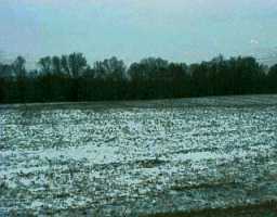 Hempridge Road Shelbyville, KY 40065 - Photo 1 of 1 Primary Photo