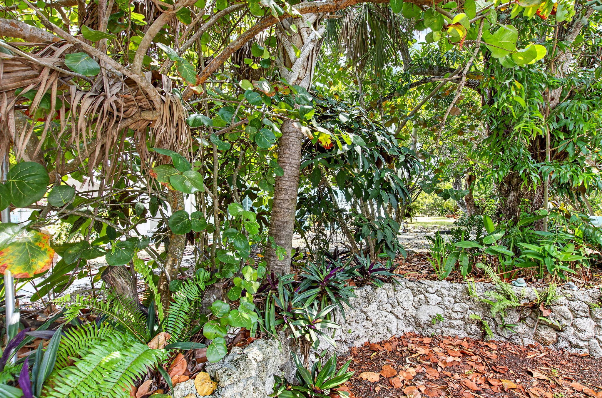 7381 High Ridge Road Boynton Beach, FL 33426 - Photo 55 of 55 14-web-or-mls-DSC_9473