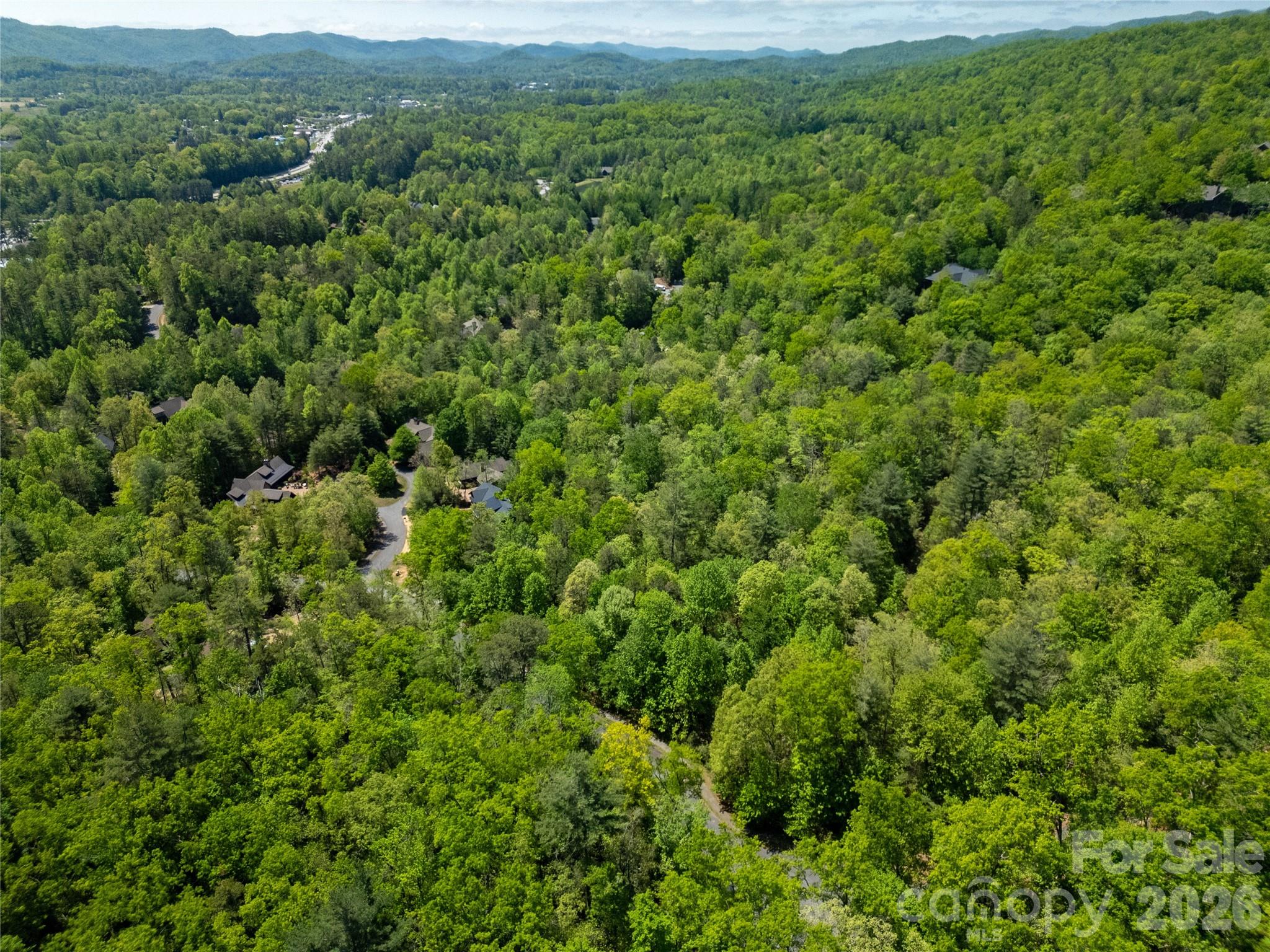 Tbd Springhouse Trail, Unit L15 Brevard, NC 28712 - Photo 5 of 21