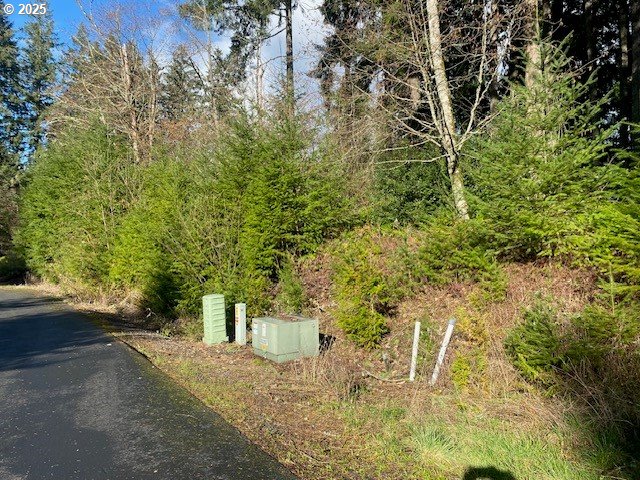 Hemlock Avenue Scappoose, OR 97056 - Photo 11 of 15