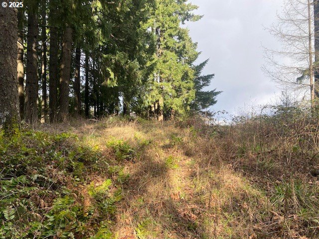 Hemlock Avenue Scappoose, OR 97056 - Photo 13 of 15 a view of backyard of house