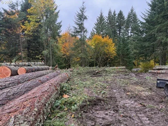 $325,000 | Hemlock Avenue, Scappoose, OR 97056