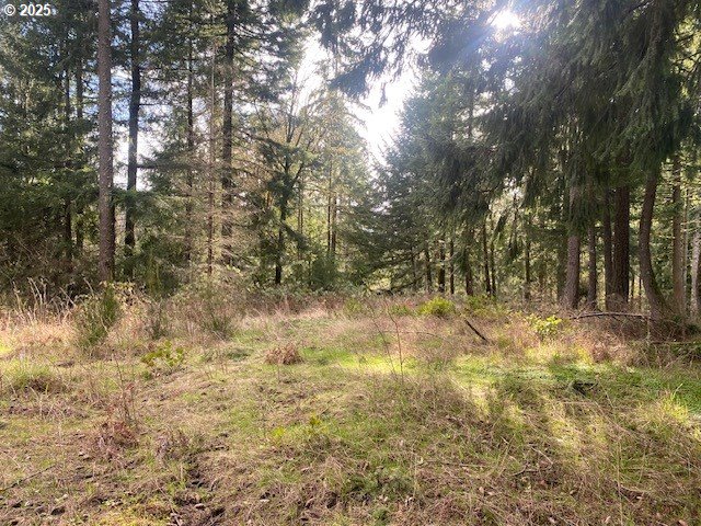 Hemlock Avenue Scappoose, OR 97056 - Photo 2 of 15 a view of yard covered with snow