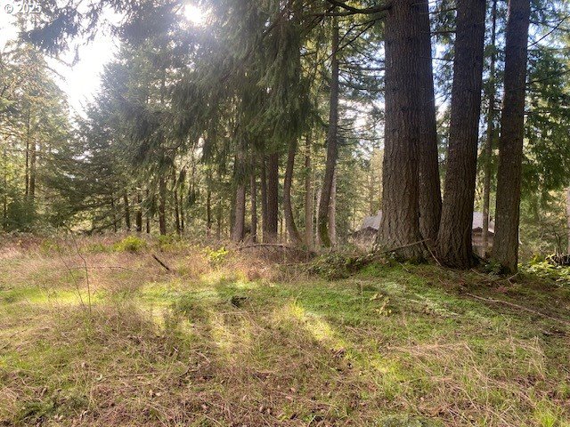 Hemlock Avenue Scappoose, OR 97056 - Photo 3 of 15 a view of backyard with tree